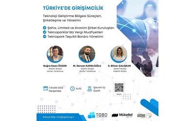 Türkiye’de Girişimcilik: Teknoloji Geliştirme Bölgesi Süreçleri, Yönetimi ve Şirketleşme